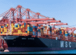 RoRo vs Container Shipping