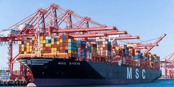 RoRo vs Container Shipping
